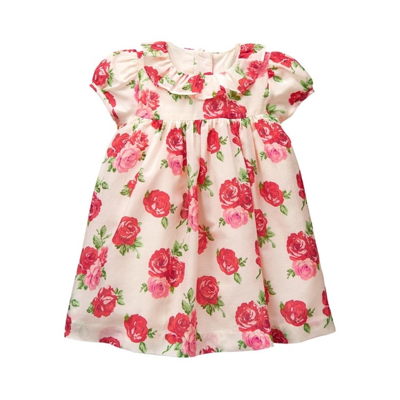 NWT Janie and Jack Rose Silk Dress in 6-12 months - Picture 1 of 3